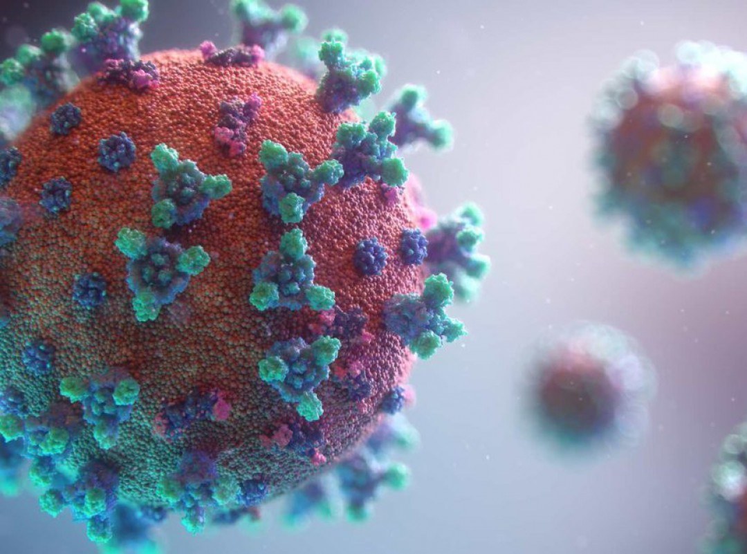 Coronavírus: 45 mortes em Simão Dias