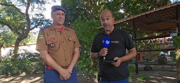 Corpo de Bombeiros orienta população sobre como agir em ataques de abelhas