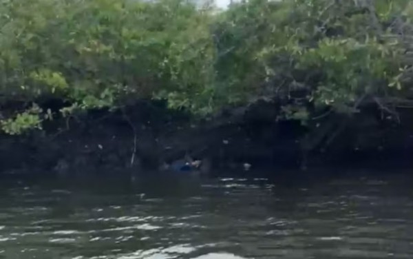 Corpo de Bombeiros resgata cadáver encontrado em manguezal de Laranjeiras