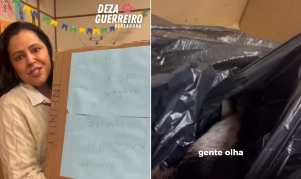 Vereadora recebe cachorro morto em gabinete e Polícia Civil investiga ameaça no Rio Grande do Sul
